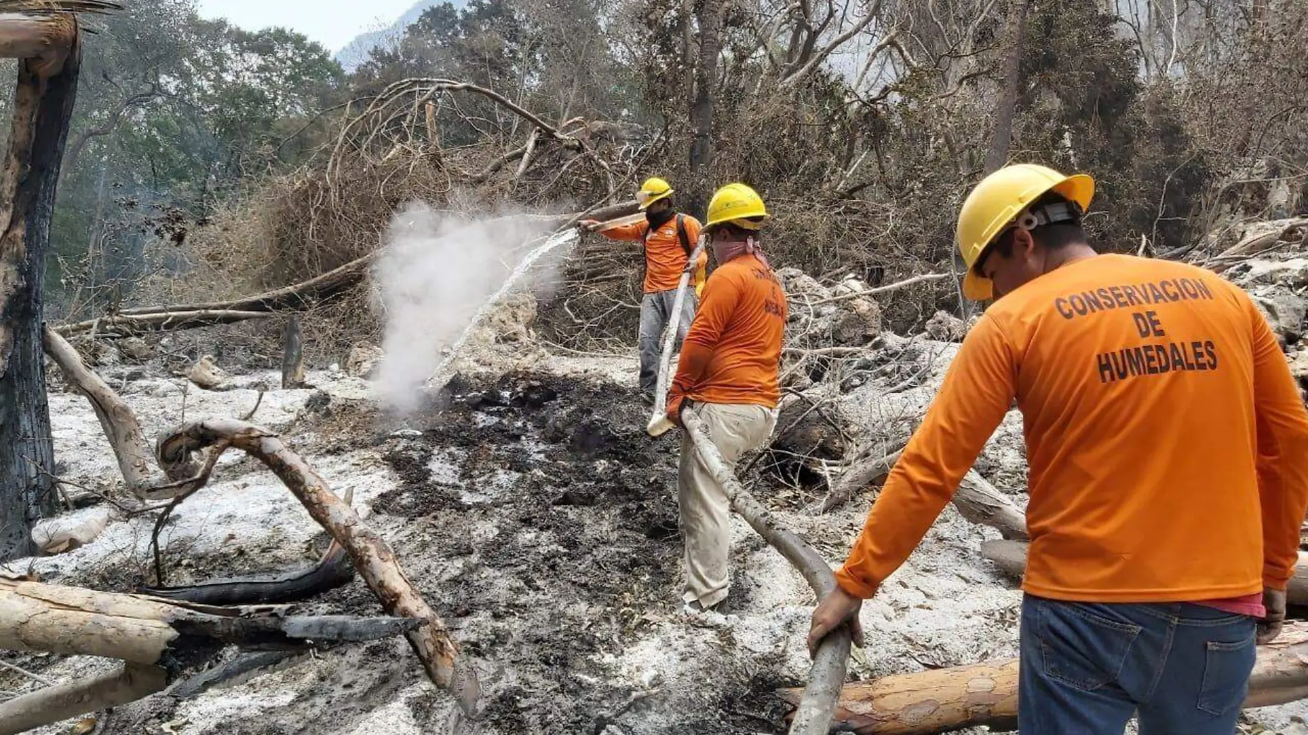 Incendio cañon del sumidero